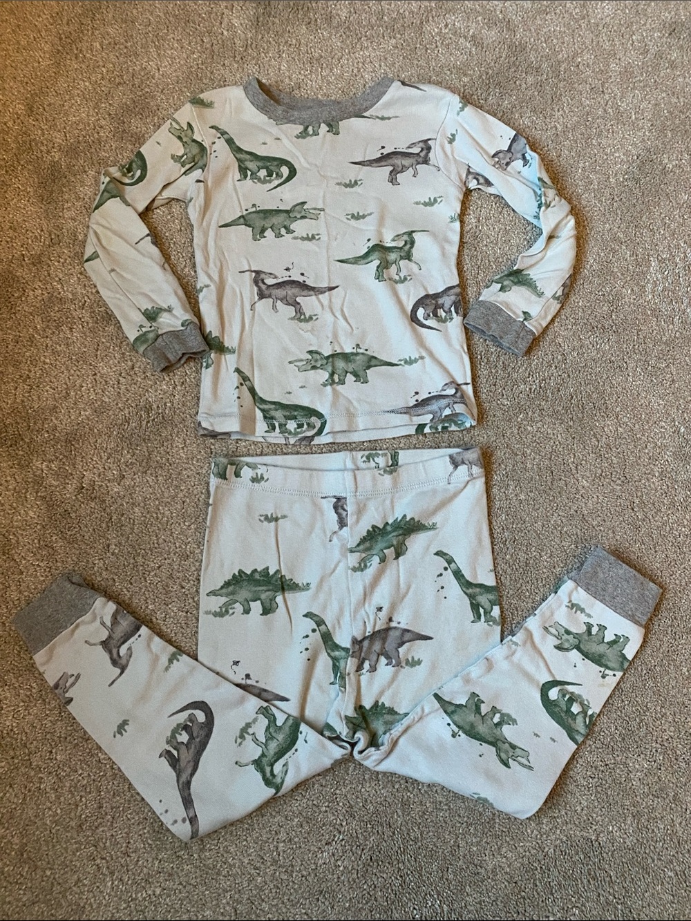 Burt’s Bees Baby 24 Months Long Sleeve Dino Pajama Set - Green Dino Print